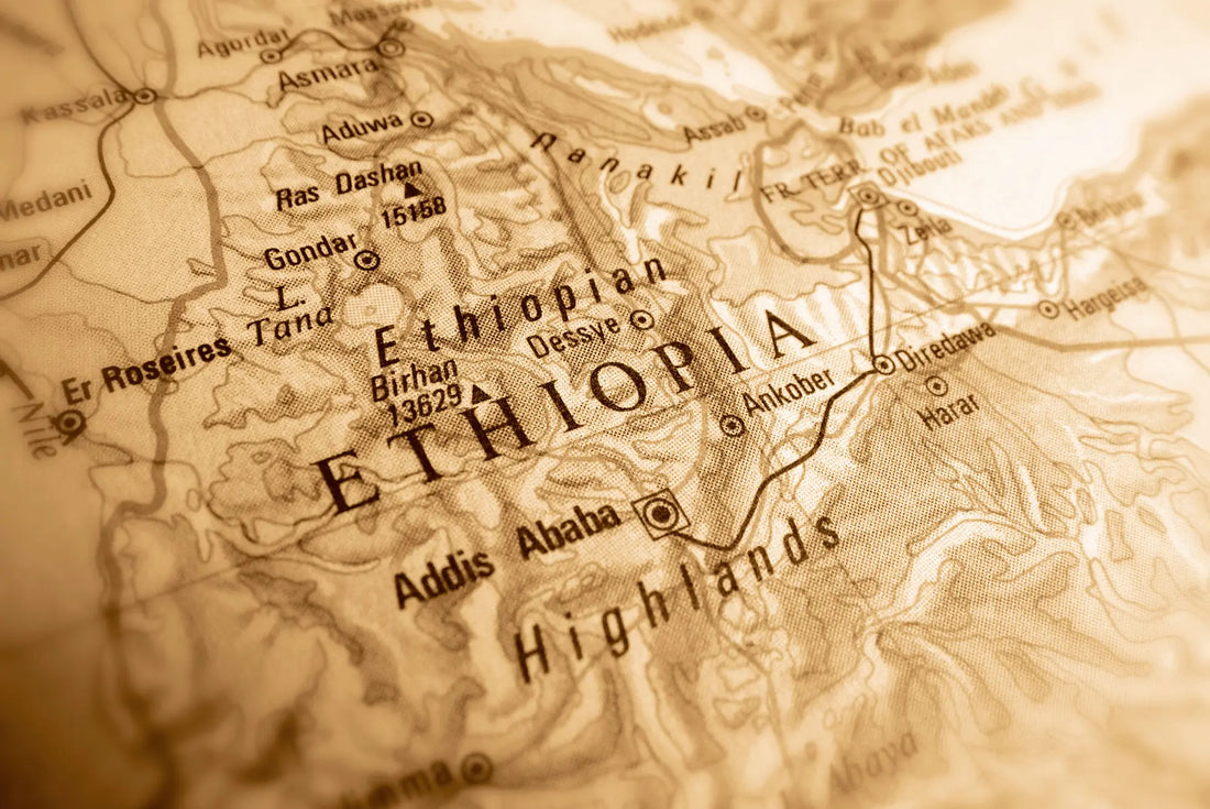 コーヒー発祥の地:エチオピアとその影響