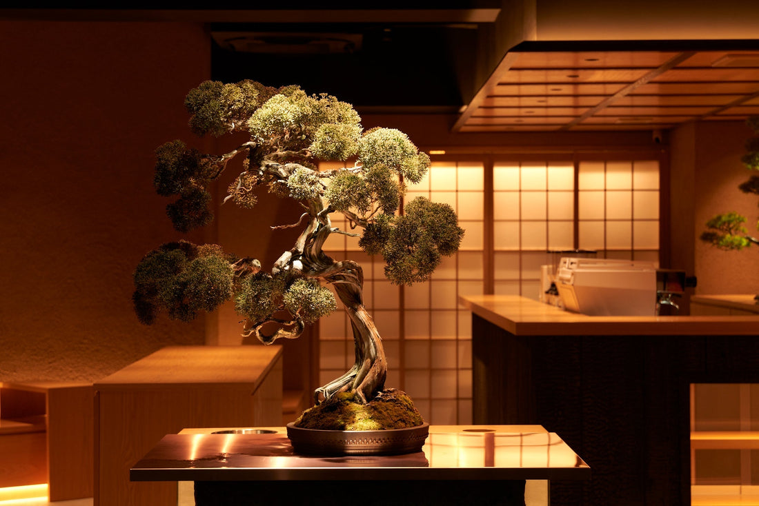 NIHONBASHI COFFEE Culture