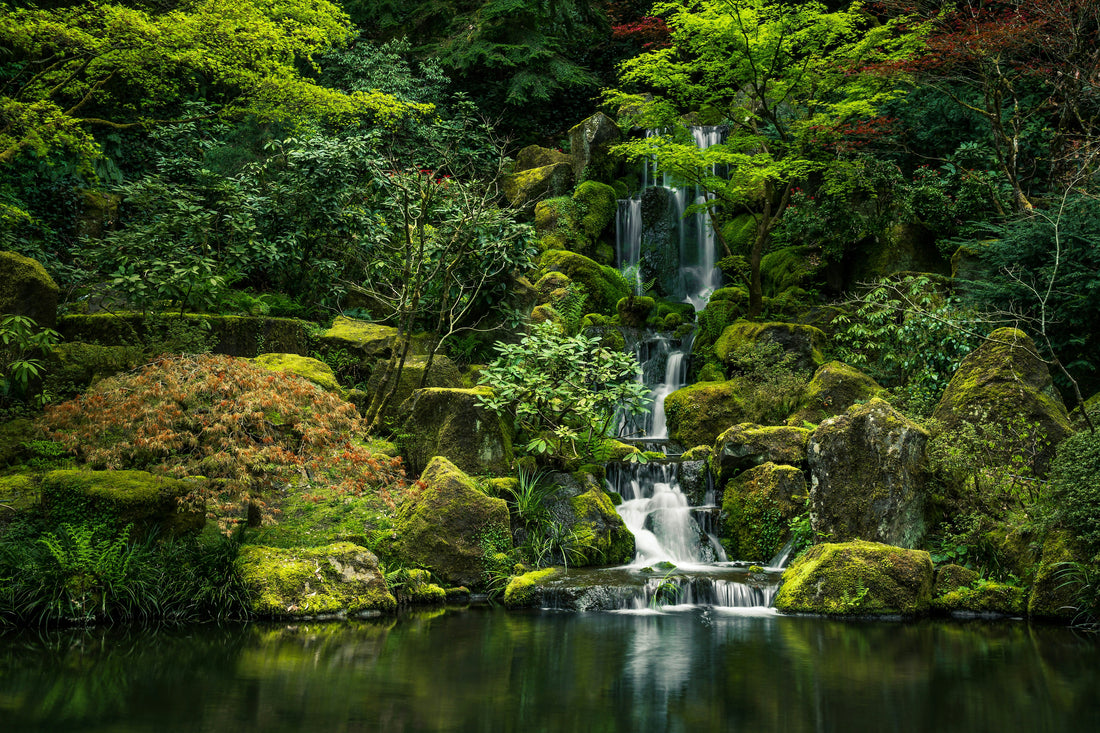 Japan and Coffee Culture