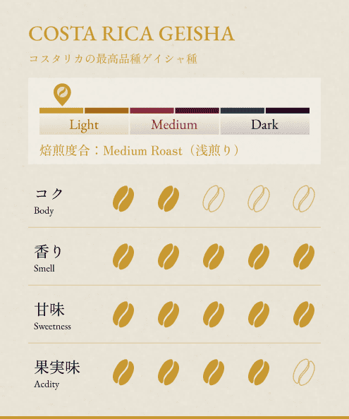 BONGEN Light Roast Luxury 3 Types