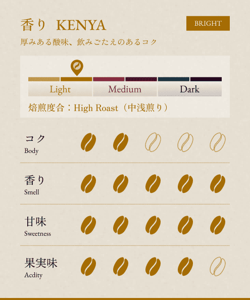 BONGENCOFFEE COMPLETE SET (17 types in total)