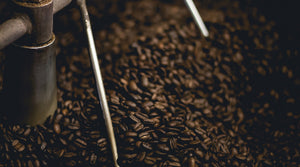 커피 콩 도매업