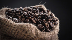 Wholesale of coffee beans