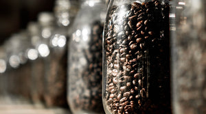 커피콩의 보존 방법과 장소/냉장고·냉동고·상온