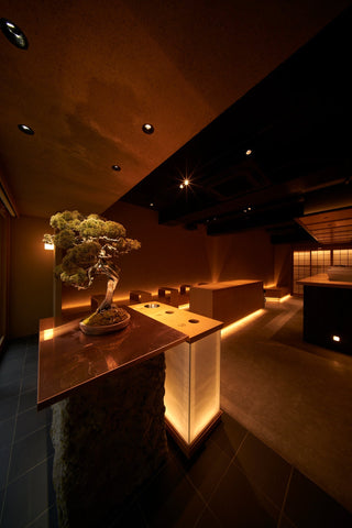 Ginza Design: Tradition, Innovation, and Modern Aesthetics
