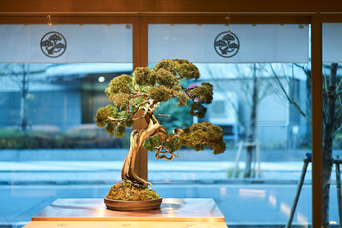 TOKYO COFFEE