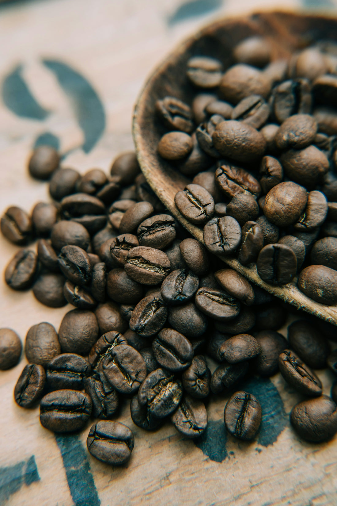Wholesale Coffee Beans