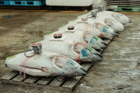 Tsukiji Sightseeing: Tradition and Market Culture
