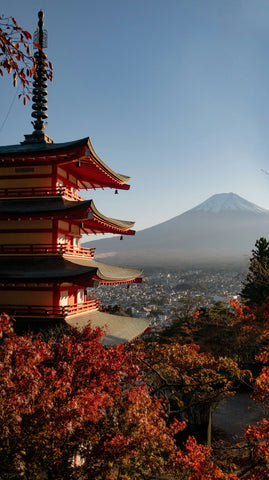 Best Coffee in Kyoto: Top 10 Cafes Ranked