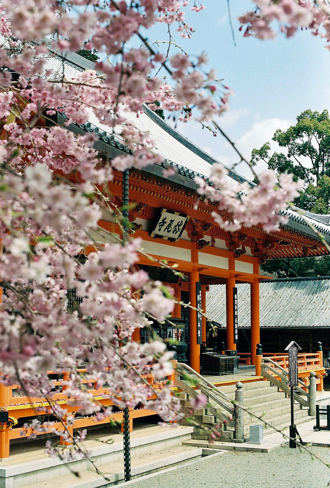 Best Coffee in Kyoto: Map & Guide