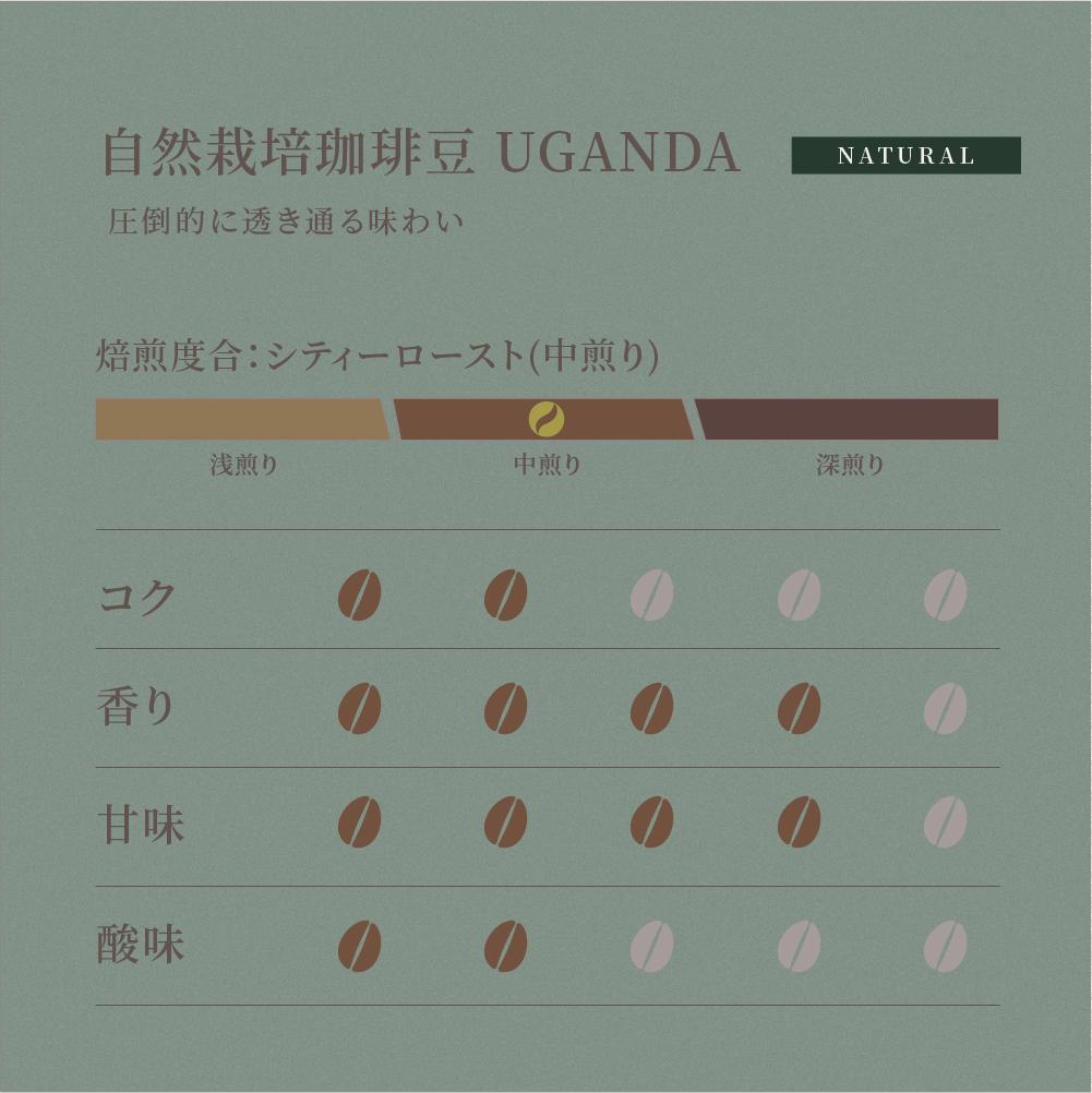 BONGEN Original Package] UGANDA Naturally Grown Coffee Beans